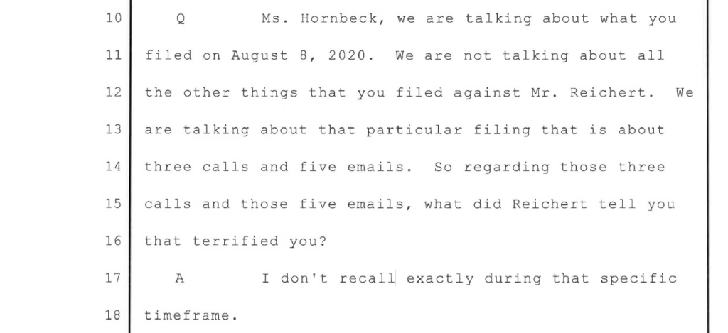 A typed transcript excerpt from a legal proceeding discussing a filing made on August 8, 2020, involving three calls and five emails.